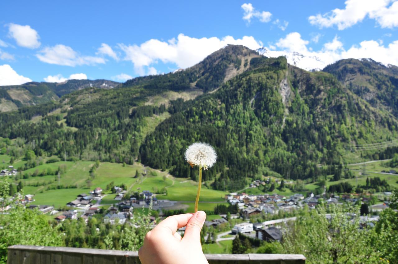Apartments Obernosterer - Grossglockner 卡普伦 外观 照片